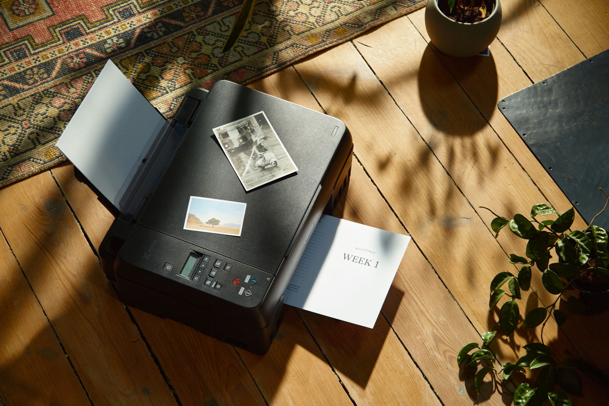 a-printer-sitting-on-top-of-a-wooden-floor-next-to-a-potted-plant.jpg a printer sitting on top of a wooden floor next to a potted plant